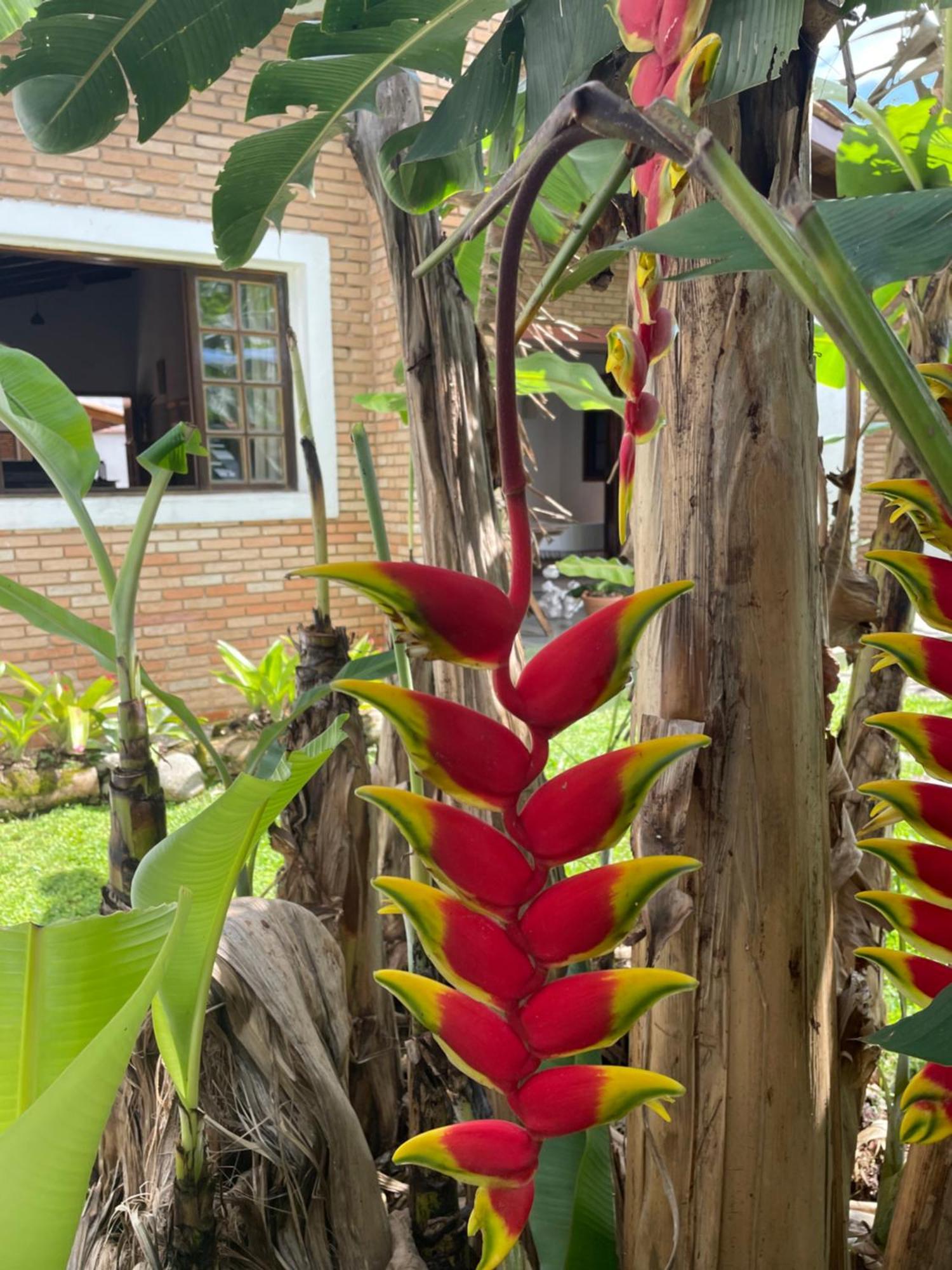 Casa Charmosa Com Jardim Tropical A 1500 Mts Da Do Cruzeiro Casa de férias